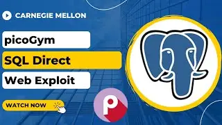 picoGym (picoCTF) Exercise: SQL Direct