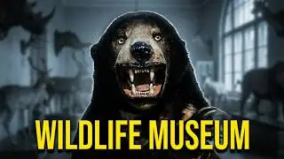 Inside Medan’s Fascinating Rahmat International Wildlife Museum | Vlog2