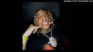 FREE Zola x Favé - 