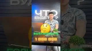 ❓Что будет если вложит 1млн в майнинг ферму?