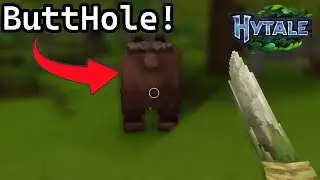 Playing Hytale For The First Time - Wik's Hytale Venture - Episode 1