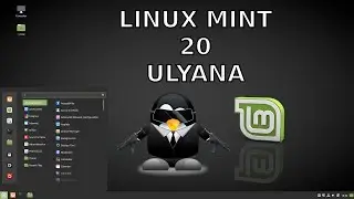 LINUX MINT 20 