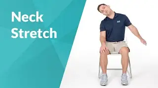 Seated Neck Stretches