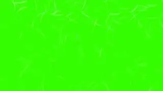 Feather Rain Green Screen ANIMATION 3  Free Footage HD