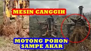 Mesin Canggih Pemotong Pohon Sampe Akar