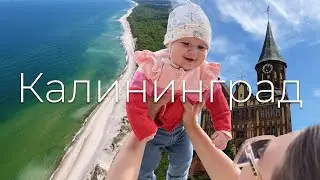 Прогулки с Кристабель: Калининград.