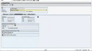 08 Roles and Authorizations in SAP