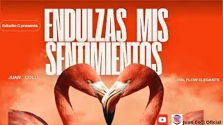 Juan Colli - 