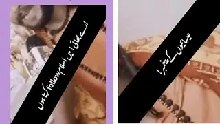 Hindu Pandit about hazrat Muhammad S. A. W💯📿#Allah #Muhammad #viral #video #Grow #Account #islami_du