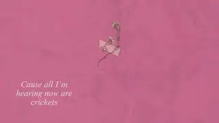 Crickets (Official Lyric Video)