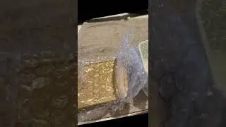 Остался 