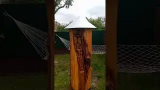 Результат заселения колоды,белоснежные соты 