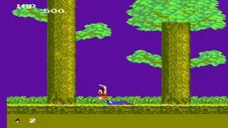 The legend of Bruce Lee ( Legend kage nes)
