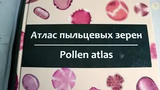 О статусе нашей лаборатории и проблемах пыльцевого анализа
