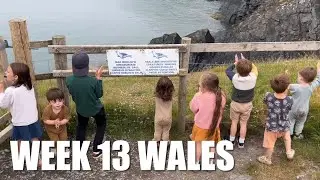 SPOTTING SEALS IN WALES! (DID WE SPOT ANY?!) | WEEK 13: WALES