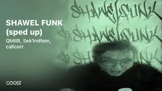 QMIIR, Sek1roRem, callcorr  ~ SHAWEL FUNK (speed up)  (щавель фонк / фанк)