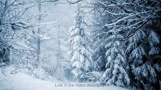 Learn to create Realistic Snowfall Animation in After Effects