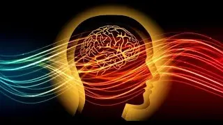 What is Flow?