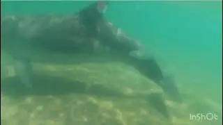 #Анапа