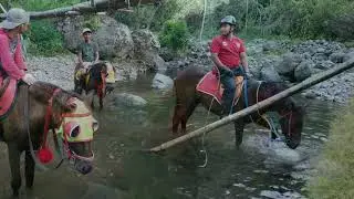 Viral !!! Berkuda Jepara menyusuri Hutan