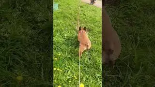 снова весна!!!