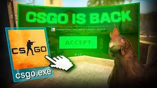 CSGO IN 2024