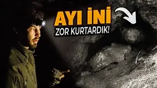 GECE YARISI AYI İNLERİNDEKİ FOTOKAPANI KURTARMAK! (ÖNLEM HAYAT KURTARIR!!)