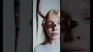 А вы боитесь змей ?)