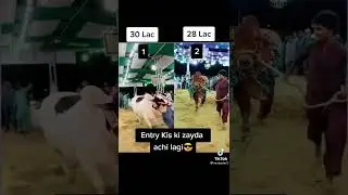 TikTok video cow qurabni 2022