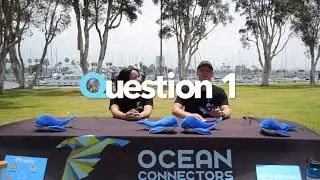 Whale Trivia Episode 5 | The Shore Buddies Show