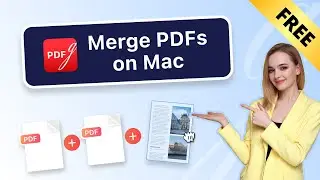 How to Merge PDF Files into One for Free | Combine PDFs