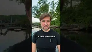 20 августа 2024 г.