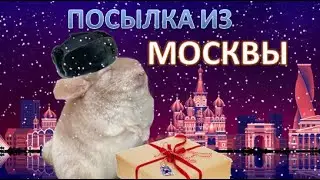 Пришла посылка из МОСКВЫ! Обзор на корм 