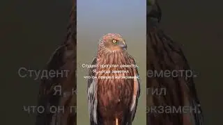 #сопромат #теормех  помогу сдать. Пиши в телеграмм и комментарии