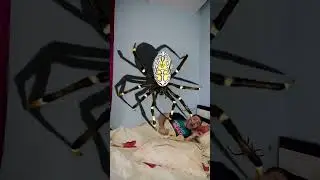 OMG Super Giant SPIDER 🕷️🕸️ in bed 🤪 