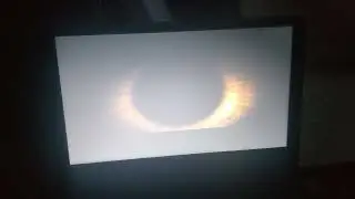 Spectre (2015) DVD Opening
