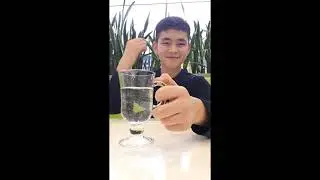 Prank