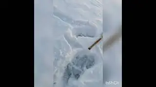 Рыбалка на окуня озеро Шалкар