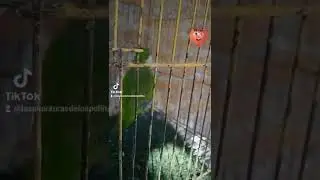 Ábreme la puerta Tavo.