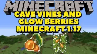 How To FIND Glow Berries and Cave Vines! | Minecraft 1.17 Tutorials