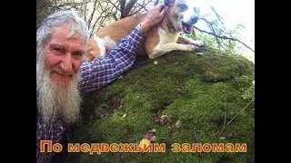 По медвежьим заломам
