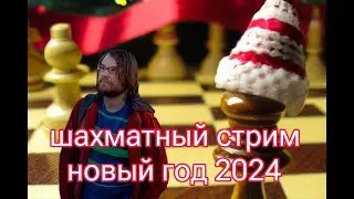 Новогодний шахматный стрим, В новый год! 2024