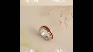 Fidget Ring, Spinner Ring, Anxiety Ring with Swarovski Birhtstone