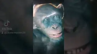 босс я устал, смотреть фильмы смотреть сериалы всем ночи подряд, чбдлучшиемоменты