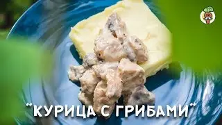 Курица с грибами и сливочным соусом, рецепт приготовления. Готовим на природе.