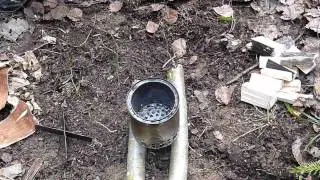 Чай в лесу на берёзовом соке и тест  мачете .