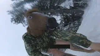 Обычный день рабочей лошадки
