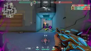 how calmest aim in eu looks like