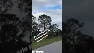 Será que sobrevive ??
