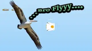 Deeeep.io -  FLY FLYY FLYYY - LIKE A BIRD (Deeeep.io Gameplay Funny)